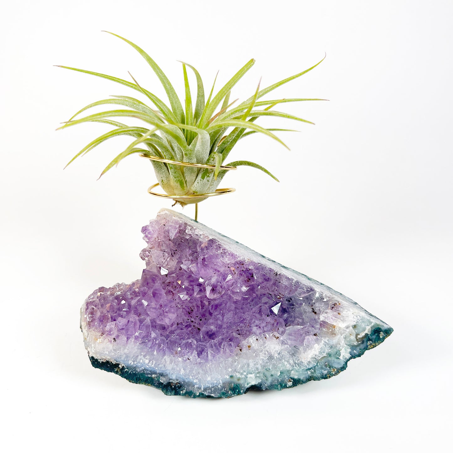 One-of-a-Kind Standing Amethyst Crystal Tillandsia Air Plant Holder - Zen Plant and Crystal Decor