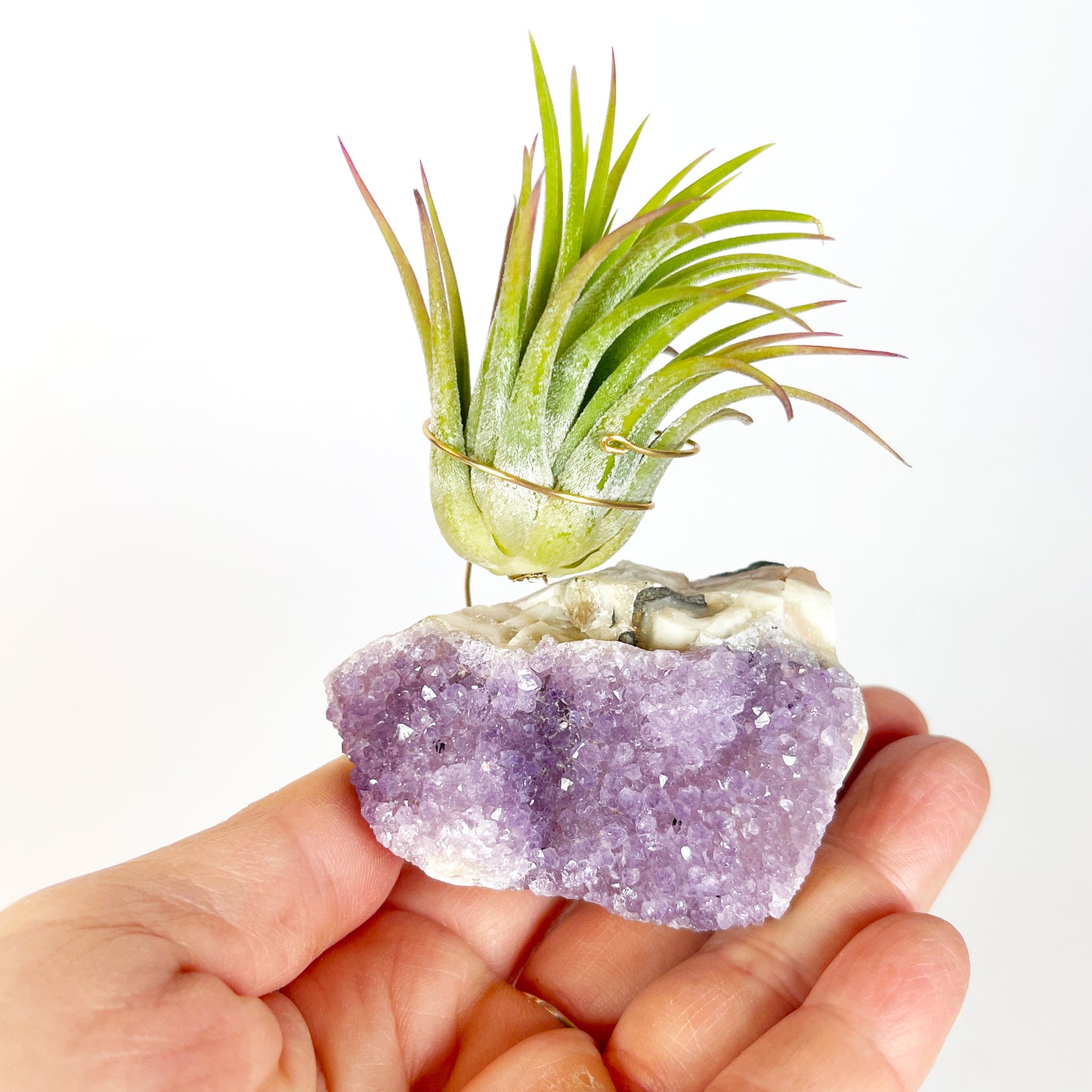 Mother's Day Gift for Plant Lovers - One-of-a-Kind Amethyst Crystal Air Plant Holder - Includes Tillandsia Plant and MOM Gift Box