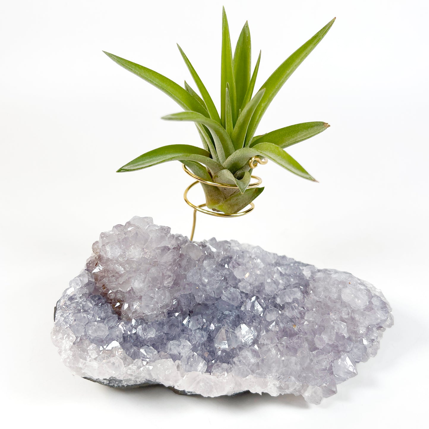 Gift for Plant and Crystal Lovers- Rare Light Purple Amethyst Geode Air Plant Holder