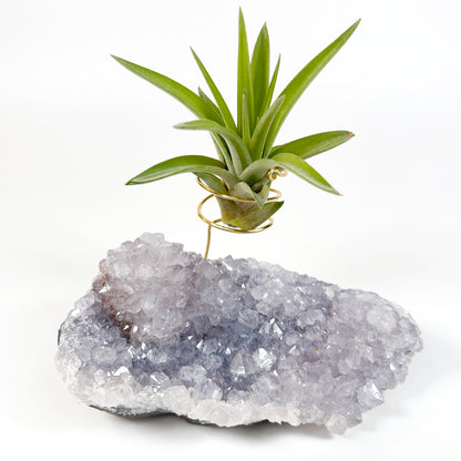Gift for Plant and Crystal Lovers- Rare Light Purple Amethyst Geode Air Plant Holder