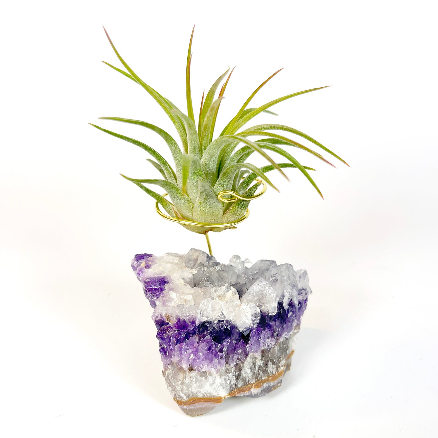 Unique Amethyst Geode with White Calcite Air Plant Holder - One of a Kind Plant and Crystal Gift