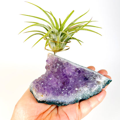 One-of-a-Kind Standing Amethyst Crystal Tillandsia Air Plant Holder - Zen Plant and Crystal Decor