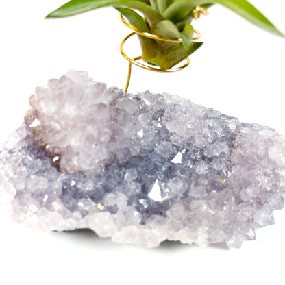 Gift for Plant and Crystal Lovers- Rare Light Purple Amethyst Geode Air Plant Holder