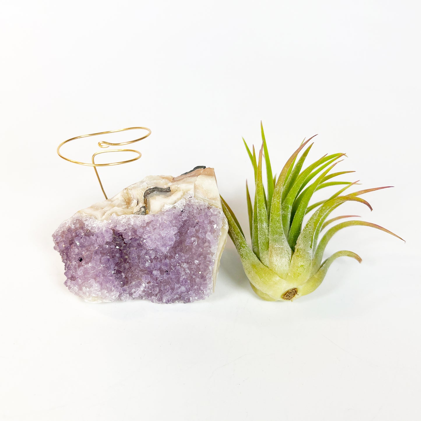 Mother's Day Gift for Plant Lovers - One-of-a-Kind Amethyst Crystal Air Plant Holder - Includes Tillandsia Plant and MOM Gift Box