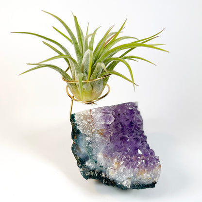 One-of-a-Kind Standing Amethyst Crystal Tillandsia Air Plant Holder - Zen Plant and Crystal Decor
