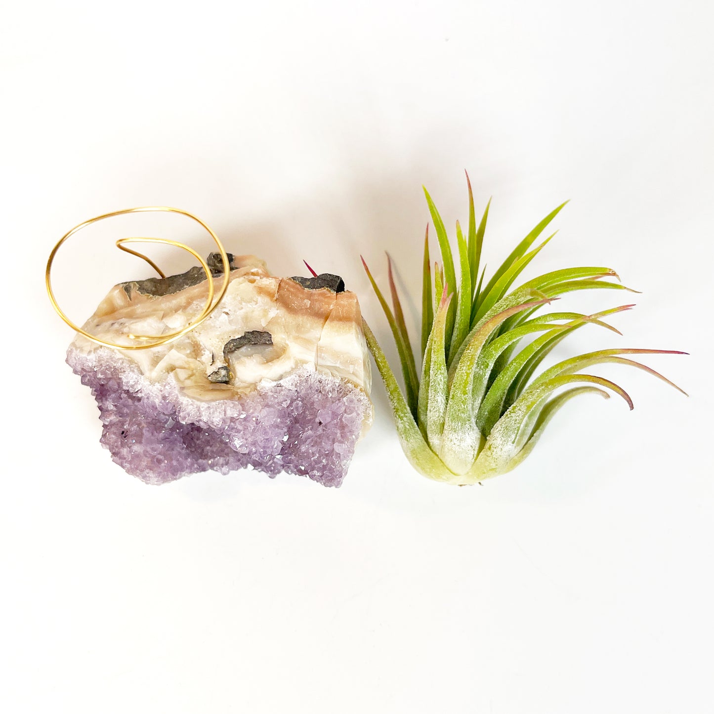 Mother's Day Gift for Plant Lovers - One-of-a-Kind Amethyst Crystal Air Plant Holder - Includes Tillandsia Plant and MOM Gift Box