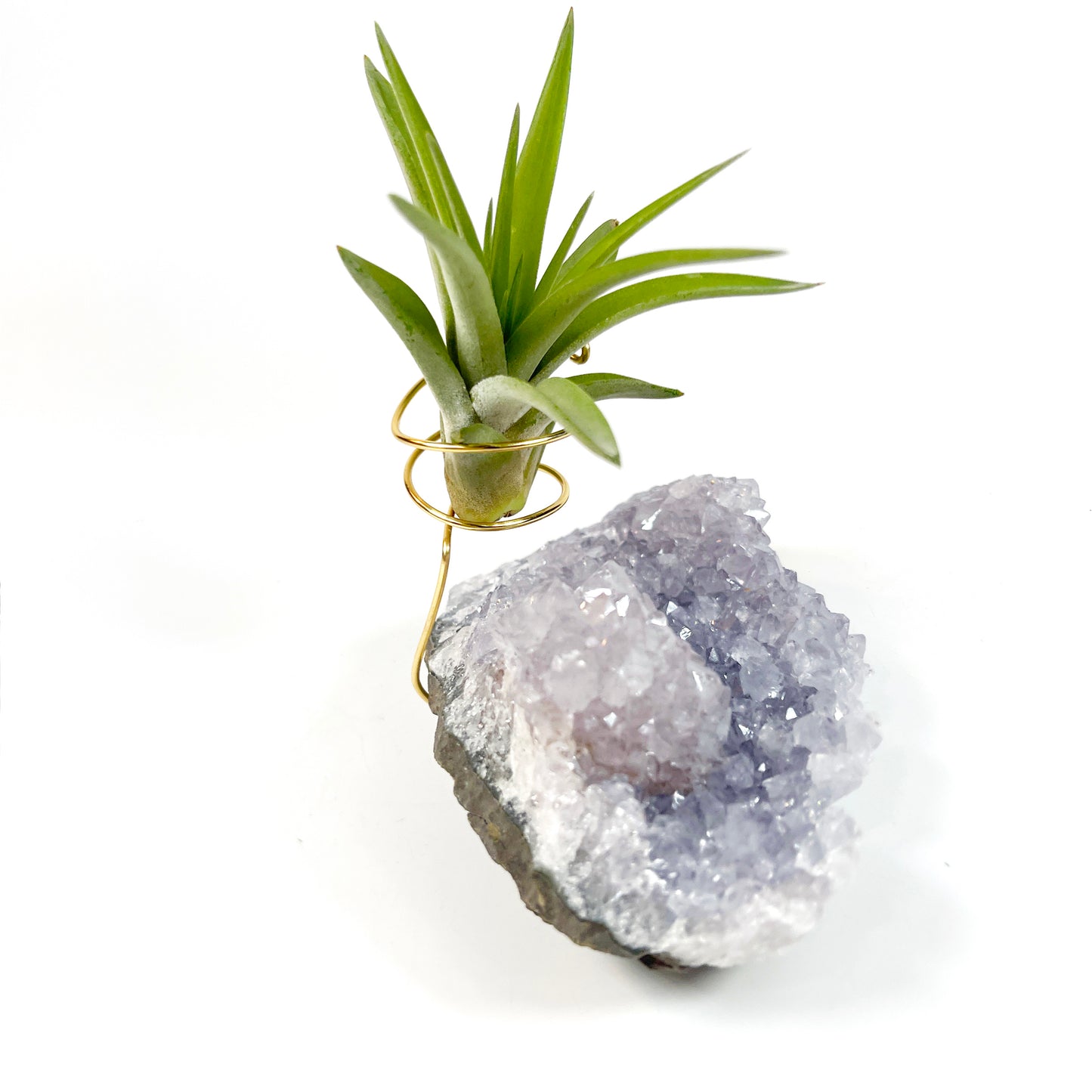 Gift for Plant and Crystal Lovers- Rare Light Purple Amethyst Geode Air Plant Holder