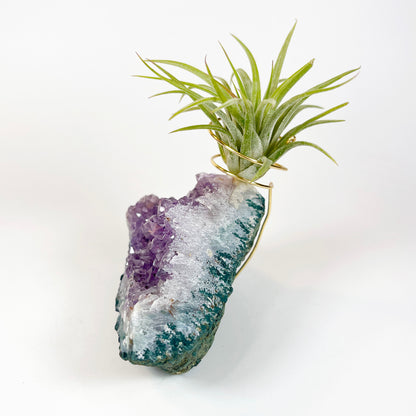 One-of-a-Kind Standing Amethyst Crystal Tillandsia Air Plant Holder - Zen Plant and Crystal Decor