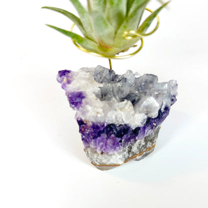 Unique Amethyst Geode with White Calcite Air Plant Holder - One of a Kind Plant and Crystal Gift