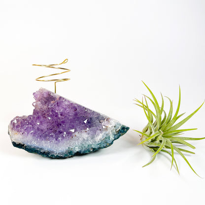 One-of-a-Kind Standing Amethyst Crystal Tillandsia Air Plant Holder - Zen Plant and Crystal Decor