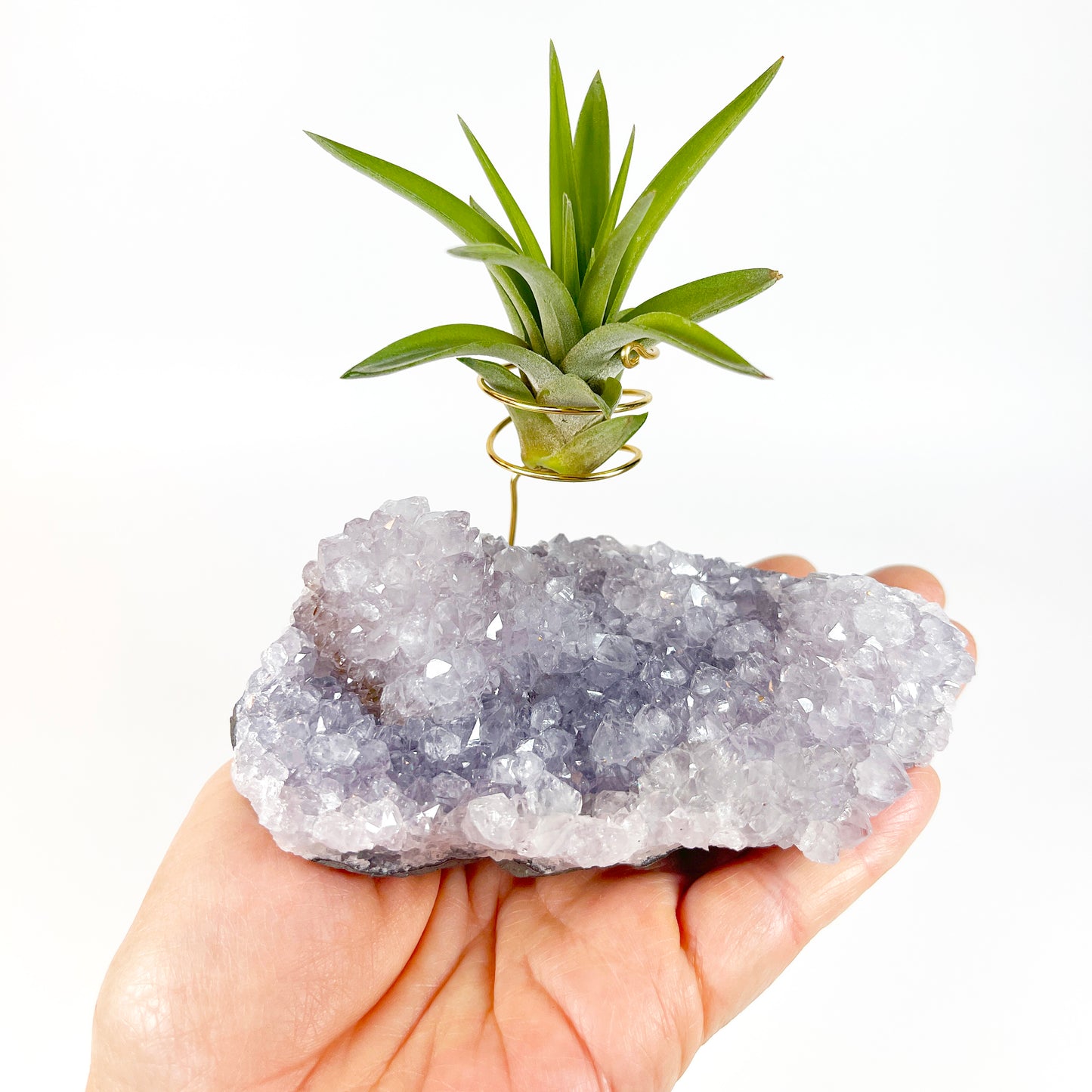 Gift for Plant and Crystal Lovers- Rare Light Purple Amethyst Geode Air Plant Holder
