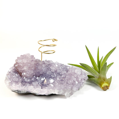 Gift for Plant and Crystal Lovers- Rare Light Purple Amethyst Geode Air Plant Holder
