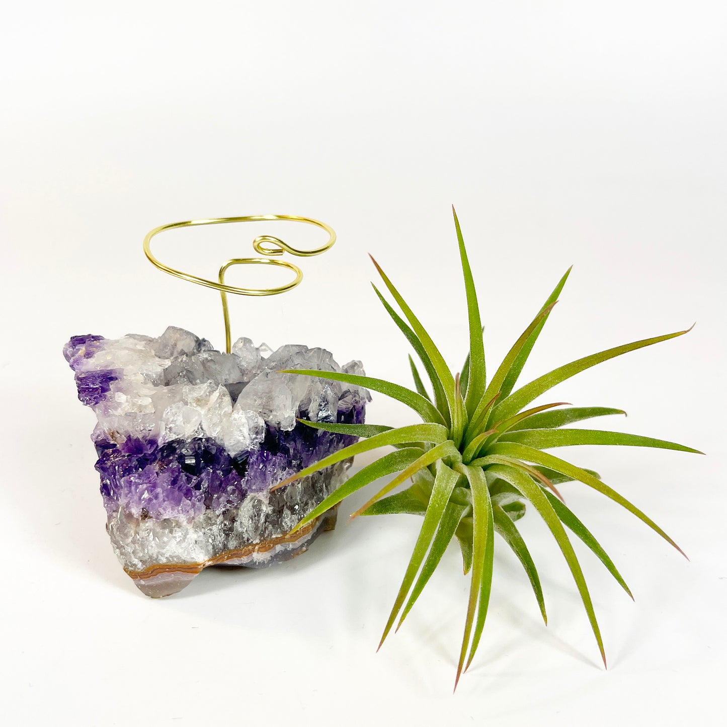Unique Amethyst Geode with White Calcite Air Plant Holder - One of a Kind Plant and Crystal Gift