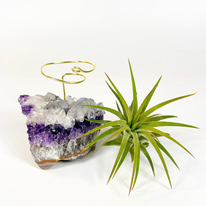 Unique Amethyst Geode with White Calcite Air Plant Holder - One of a Kind Plant and Crystal Gift