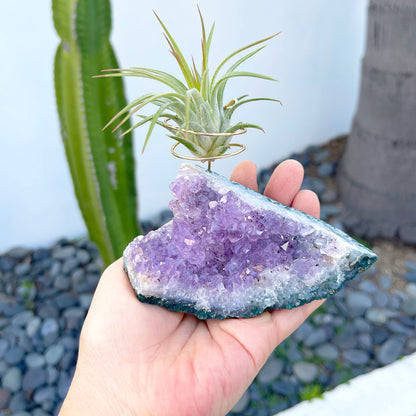 One-of-a-Kind Standing Amethyst Crystal Tillandsia Air Plant Holder - Zen Plant and Crystal Decor