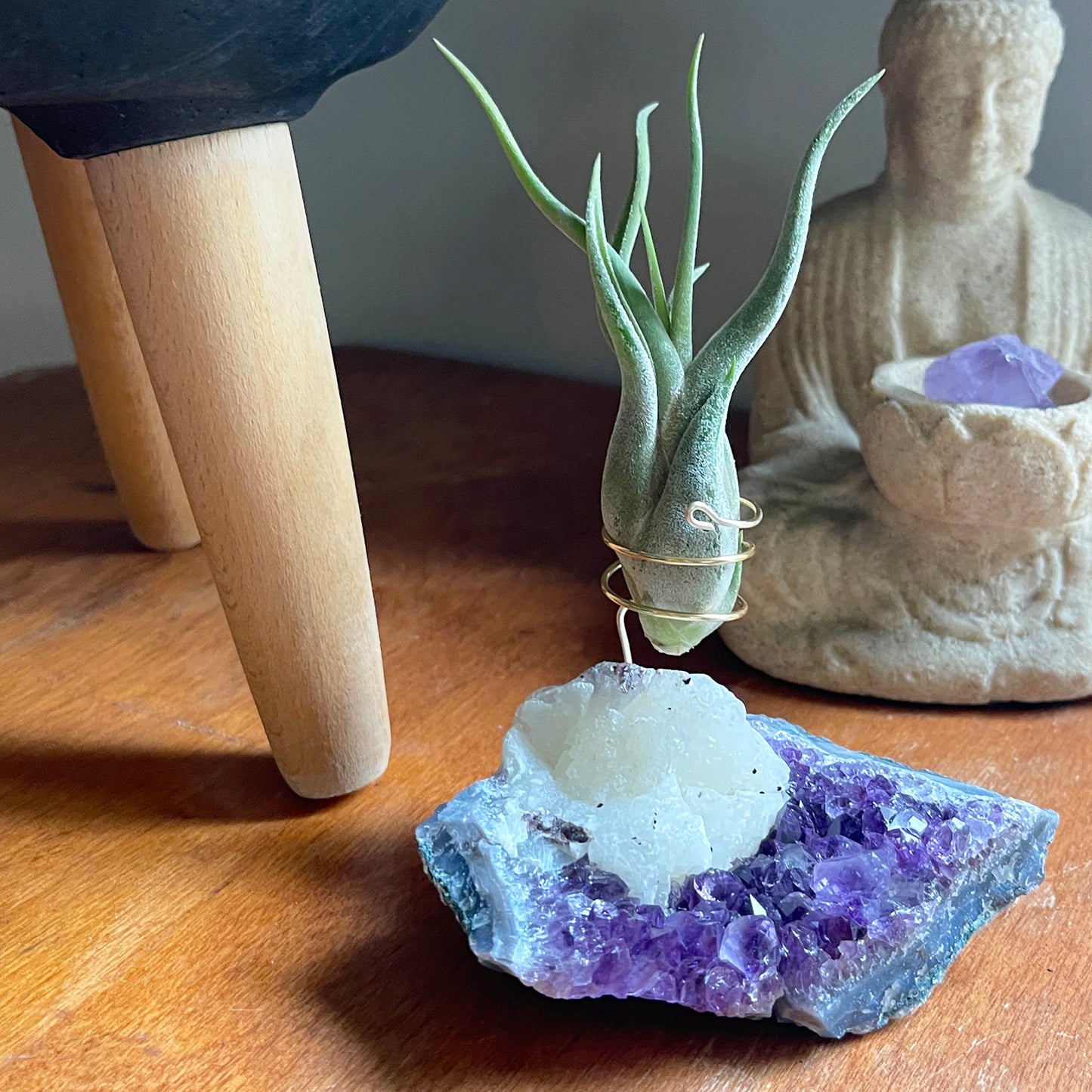 One-of-a-Kind Amethyst with Extra Large Calcite Crystal Air Plant Holder - Includes Gift Box and Healthy Air Plant