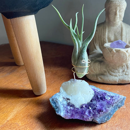 One-of-a-Kind Amethyst with Extra Large Calcite Crystal Air Plant Holder - Includes Gift Box and Healthy Air Plant