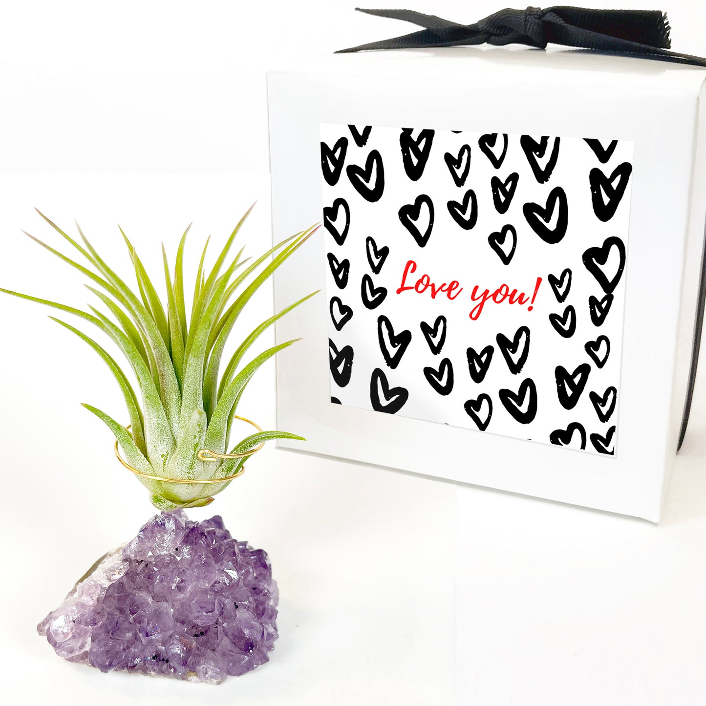 Mother's Day Gift for Crystal Lovers - Amethyst Crystal Air Plant Holder - Includes Tillandsia Plant and Love You! Gift Box