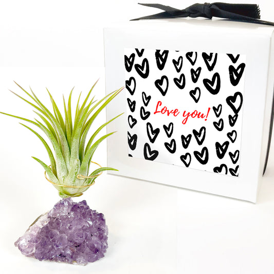 Mother's Day Gift for Crystal Lovers - Amethyst Crystal Air Plant Holder - Includes Tillandsia Plant and Love You! Gift Box