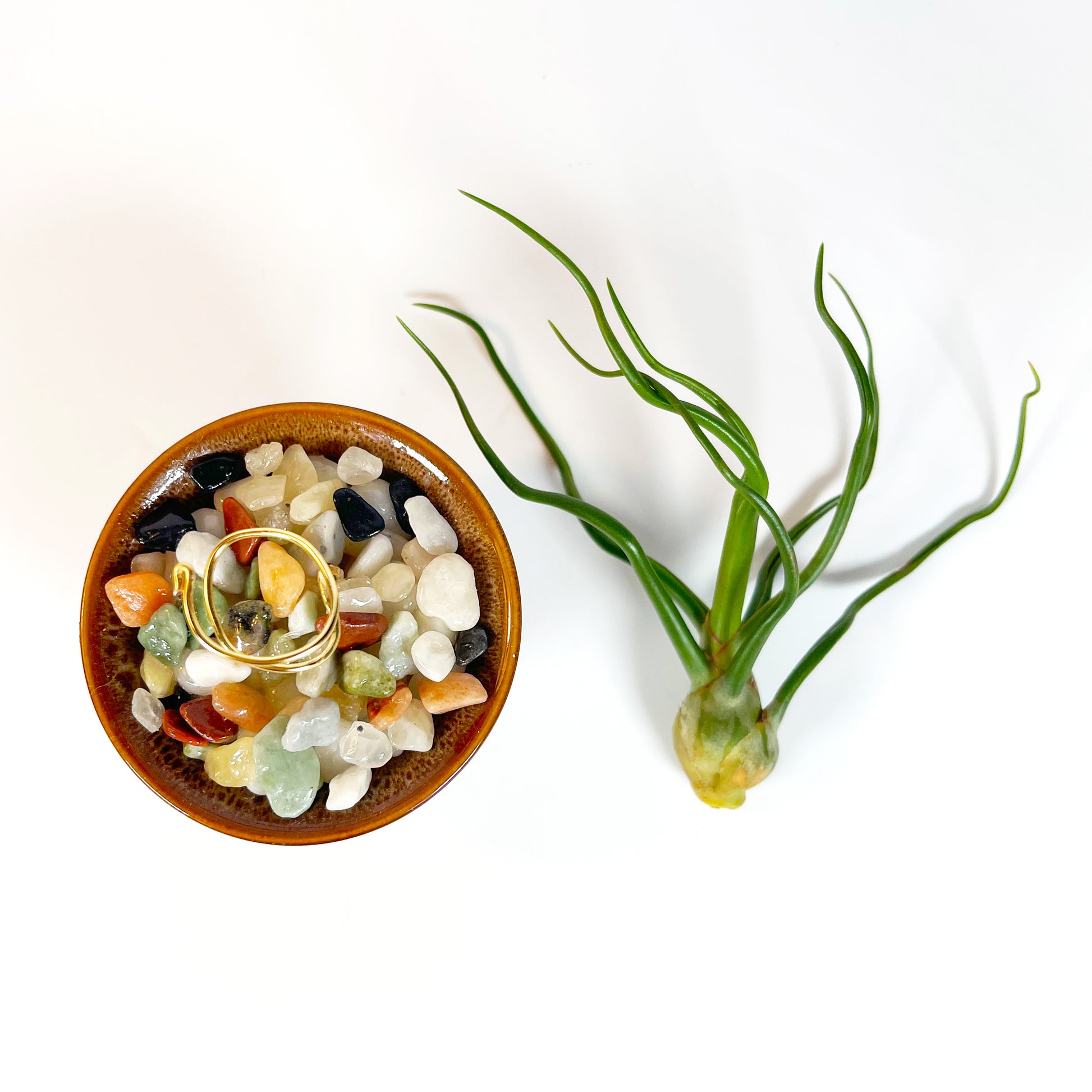 air plant dish Japanese Inspired Air Plant Holder in Beige Speckled Ceramic Planter – Rock n Air Studio