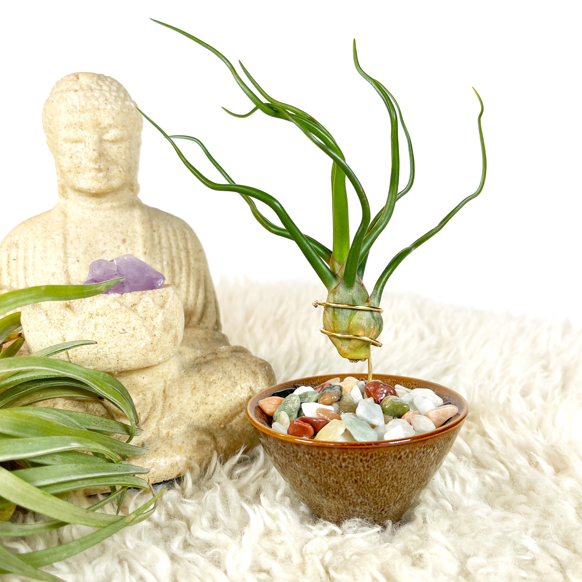air plant statue Japanese Inspired Air Plant Holder in Beige Speckled Ceramic Planter – Rock n Air Studio