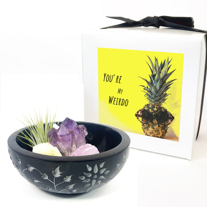 Sympathy Gift - 5" Black Floral Carved Marble Smudge Bowl (Includes Air Plant, Amethyst, Citrine, Rose Quartz)