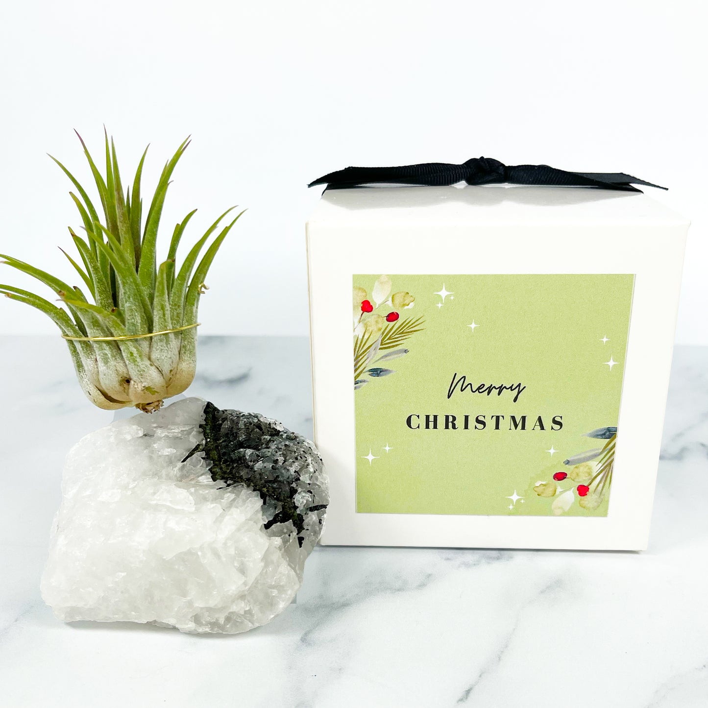 Black Tourmaline Quartz Air Plant Holder (Merry Christmas Gift Box)