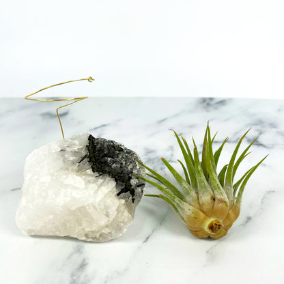 Black Tourmaline Quartz Air Plant Holder (Merry Christmas Gift Box)