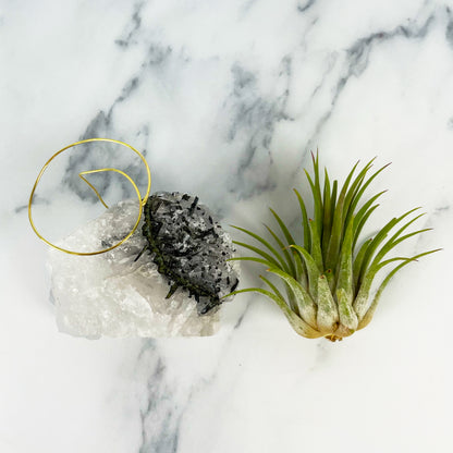 Black Tourmaline Quartz Air Plant Holder (Merry Christmas Gift Box)