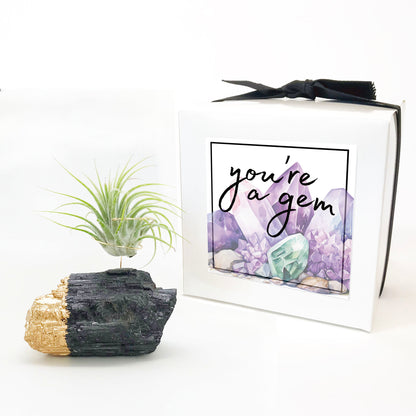 Thank You Gift - Gold-Dipped Black Tourmaline Air Plant Holder