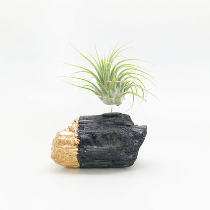 Gold Dipped Black Tourmaline Air Plant Holder