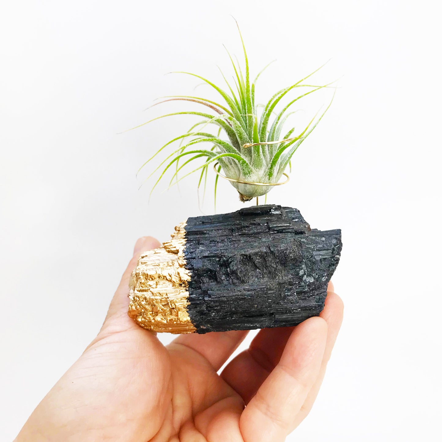 Gold Dipped Black Tourmaline Air Plant Holder