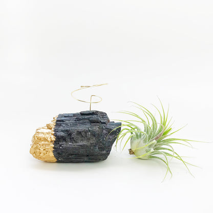 Gold Dipped Black Tourmaline Air Plant Holder