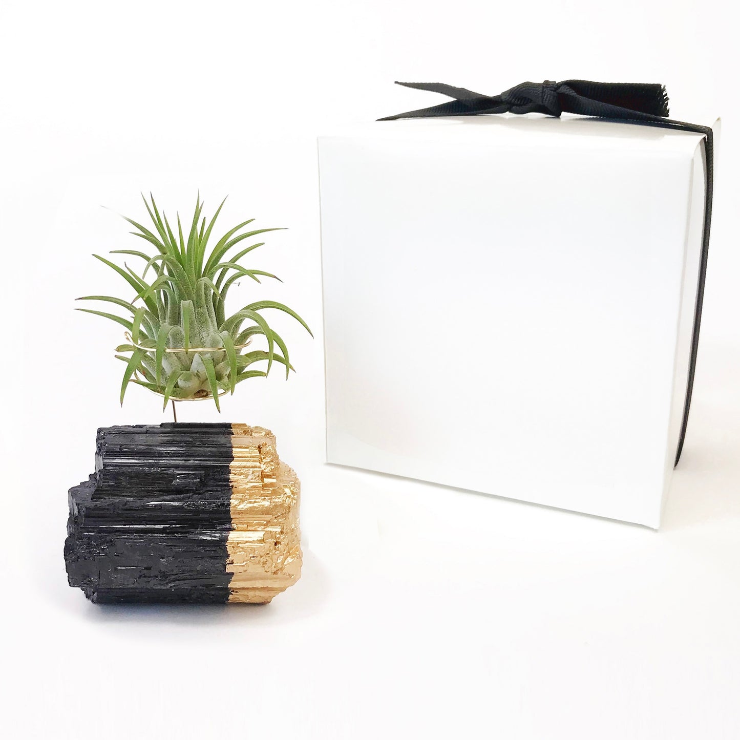 Gold-Dipped Black Tourmaline Air Plant Holder