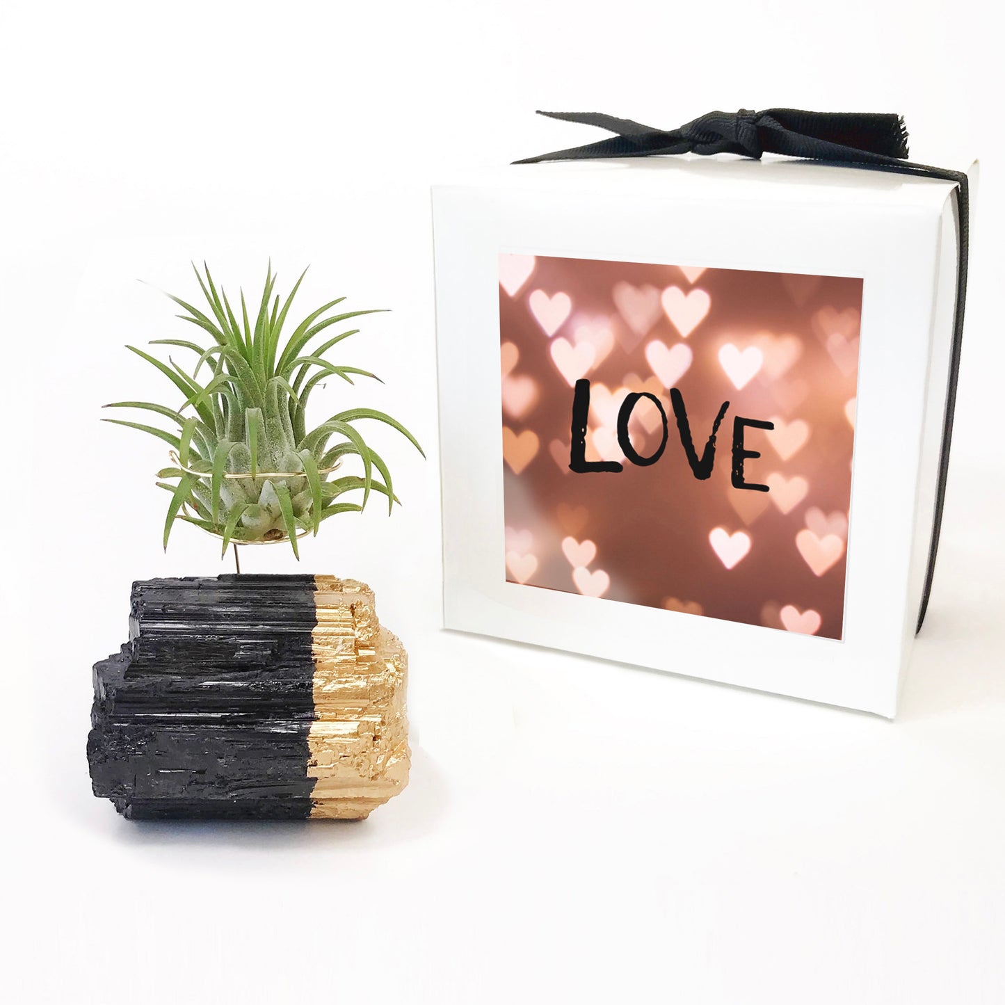 Gold-Dipped Black Tourmaline Air Plant Holder