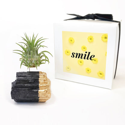 Get Well Gift - Gold-Dipped Black Tourmaline Air Plant Holder