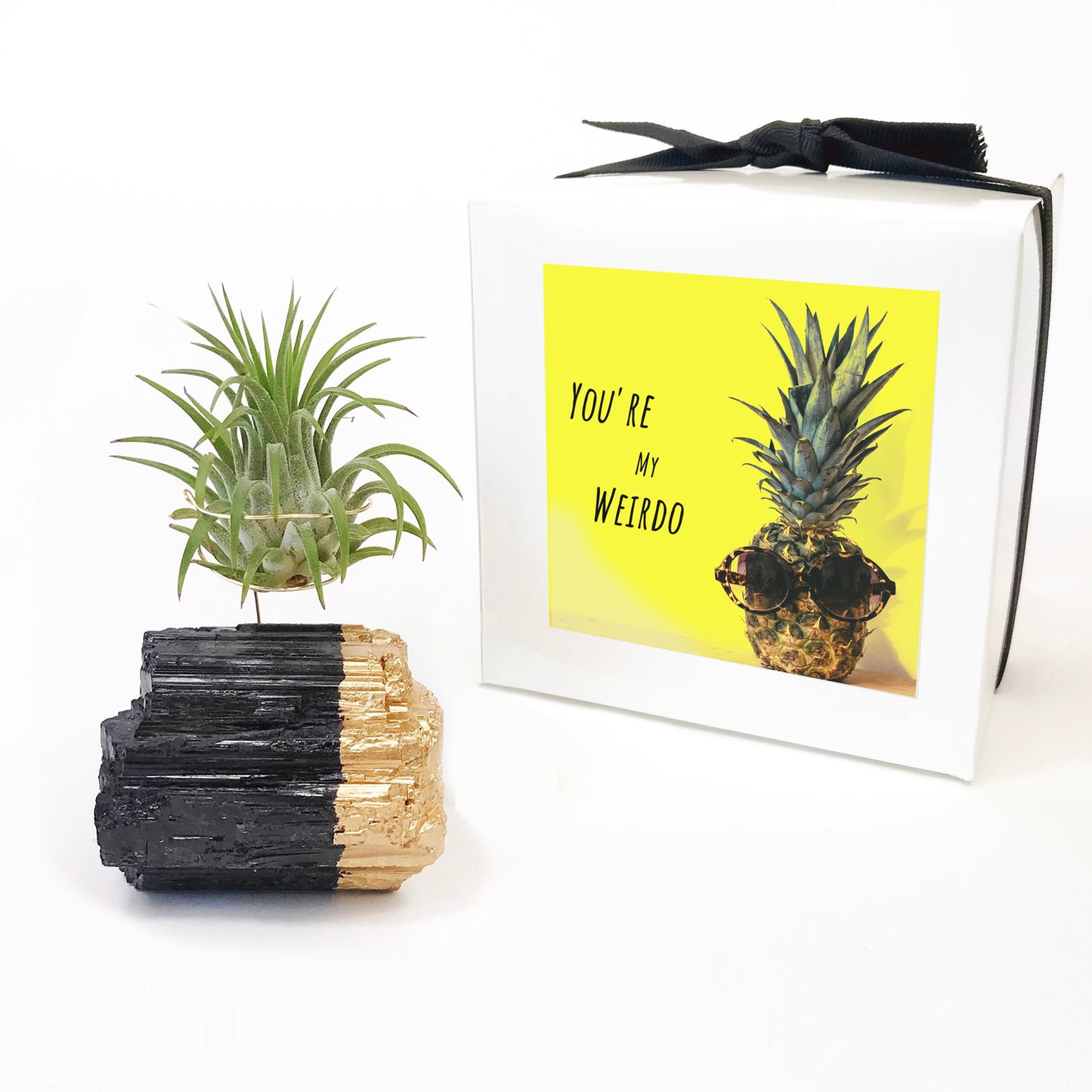 Gold-Dipped Black Tourmaline Air Plant Holder