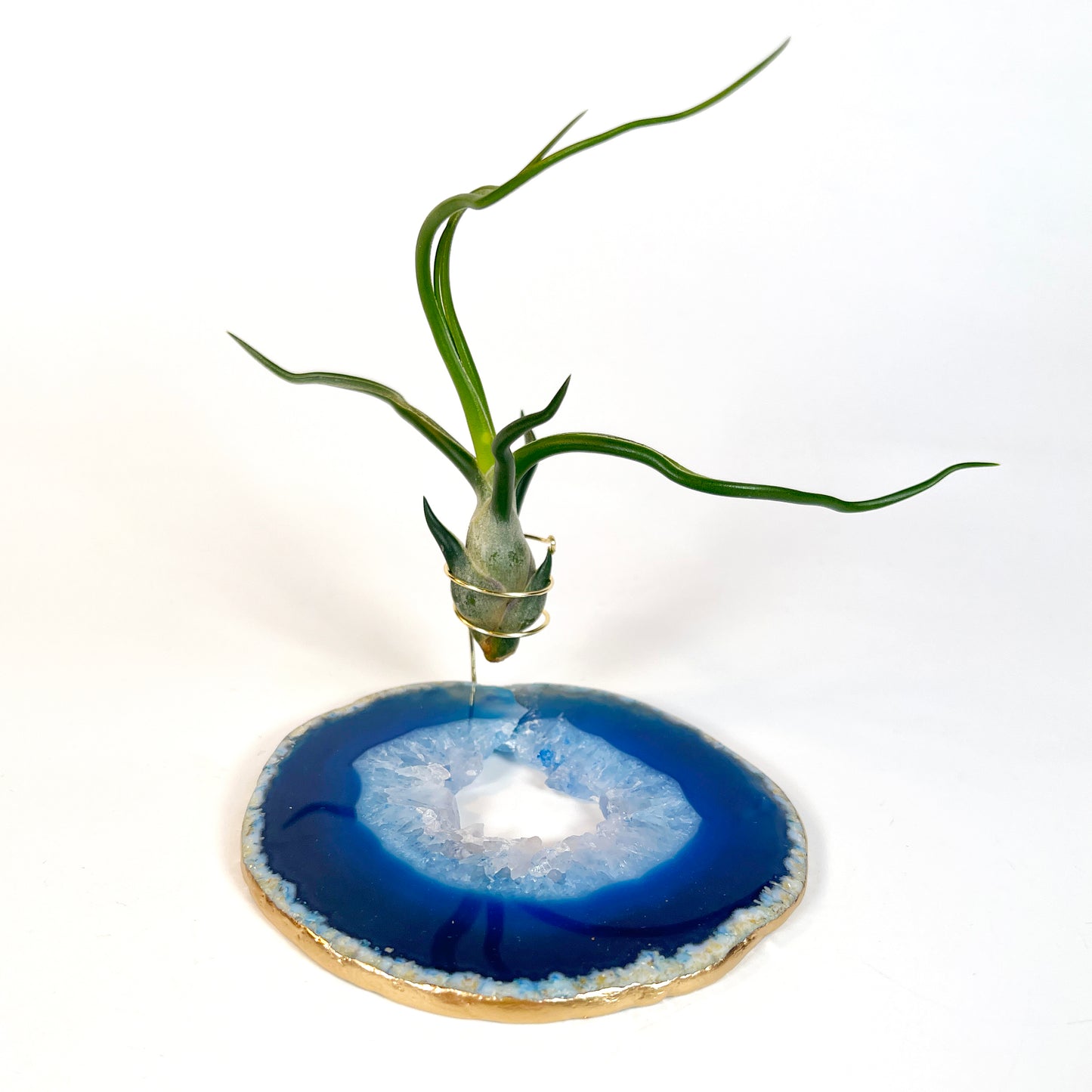 One-of-a-Kind Blue Agate Slice Air Plant Holder: Crystal Gift for Valentines Day
