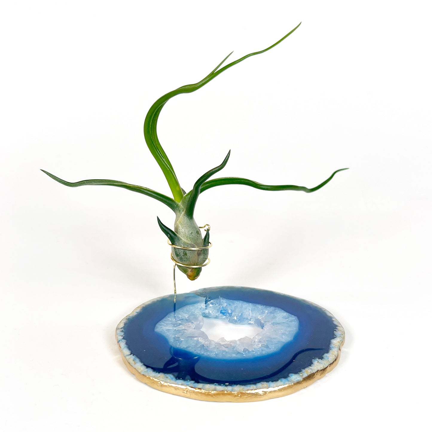 One-of-a-Kind Blue Agate Slice Air Plant Holder: Crystal Gift for Valentines Day