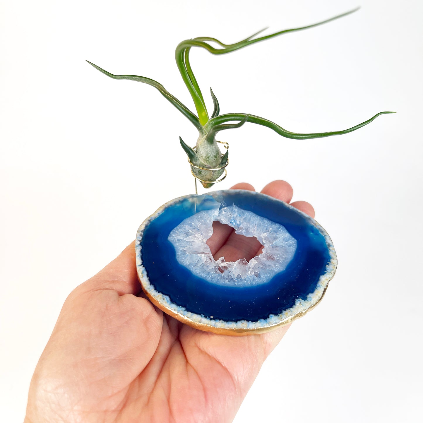 One-of-a-Kind Blue Agate Slice Air Plant Holder: Crystal Gift for Valentines Day