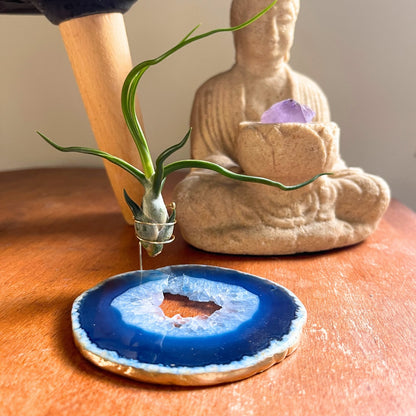 One-of-a-Kind Blue Agate Slice Air Plant Holder: Crystal Gift for Valentines Day