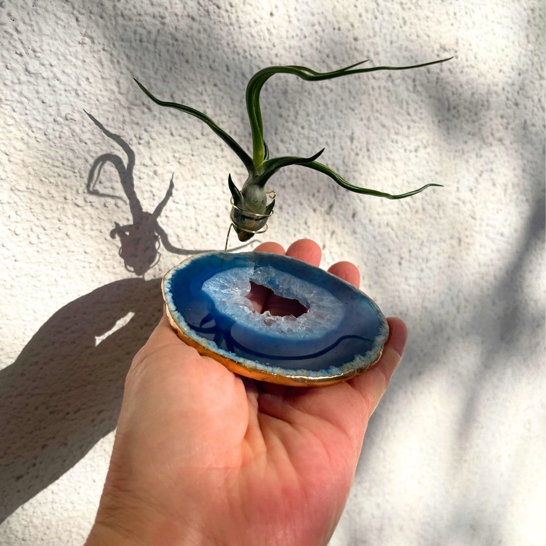 One-of-a-Kind Blue Agate Slice Air Plant Holder: Crystal Gift for Valentines Day