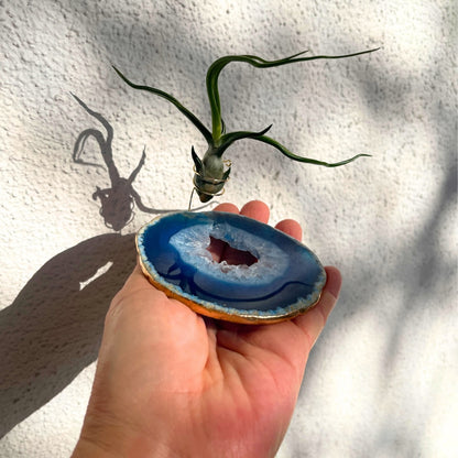 One-of-a-Kind Blue Agate Slice Air Plant Holder: Crystal Gift for Valentines Day