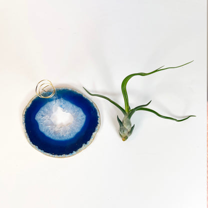 One-of-a-Kind Blue Agate Slice Air Plant Holder: Crystal Gift for Valentines Day