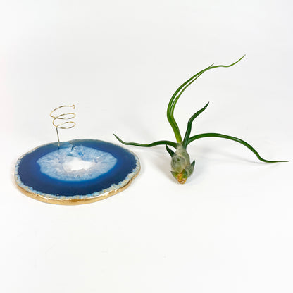 One-of-a-Kind Blue Agate Slice Air Plant Holder: Crystal Gift for Valentines Day