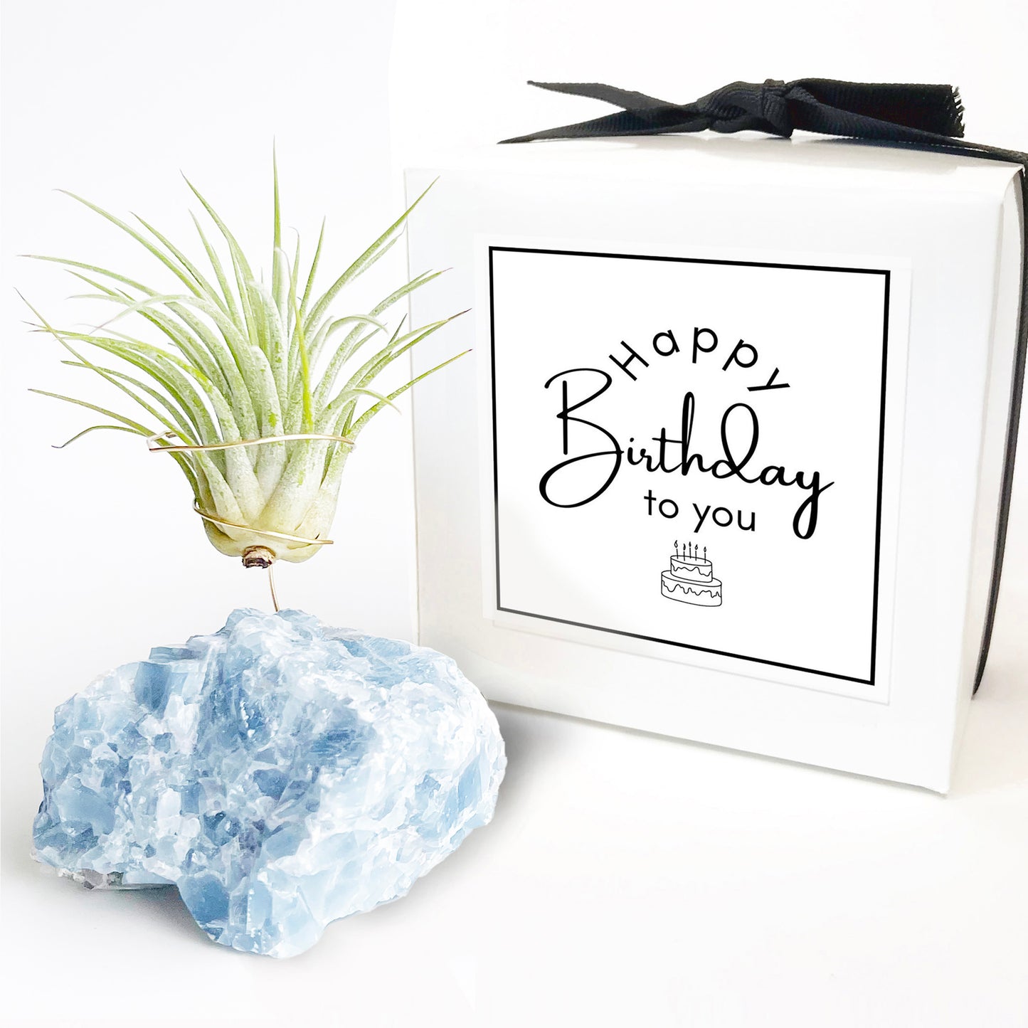 Unique Birthday Gift - Blue Calcite Crystal Air Plant Holder