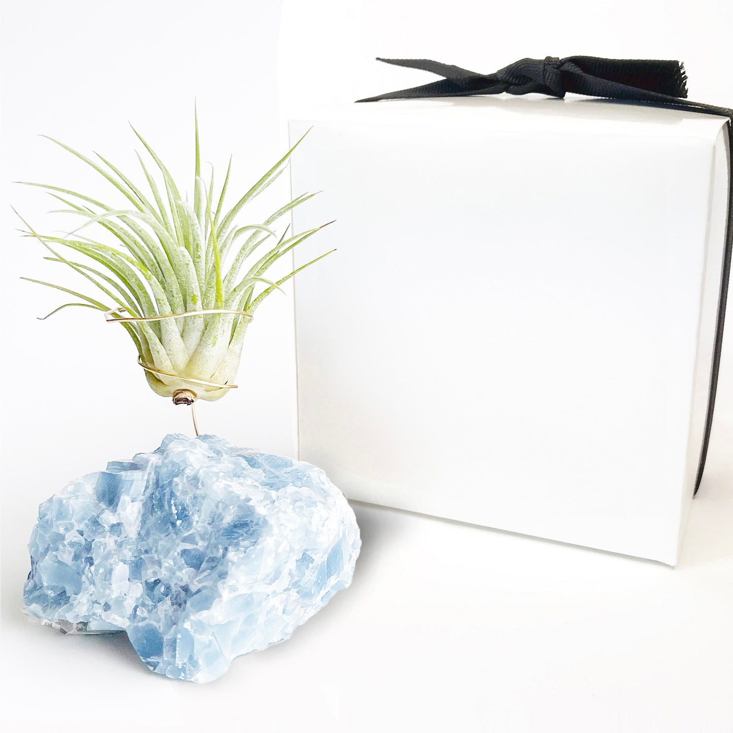 Unique Birthday Gift - Blue Calcite Crystal Air Plant Holder