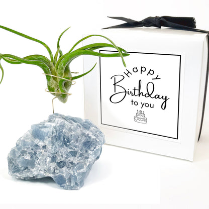 Blue Calcite Crystal Air Plant Holder