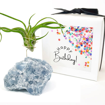 Blue Calcite Crystal Air Plant Holder