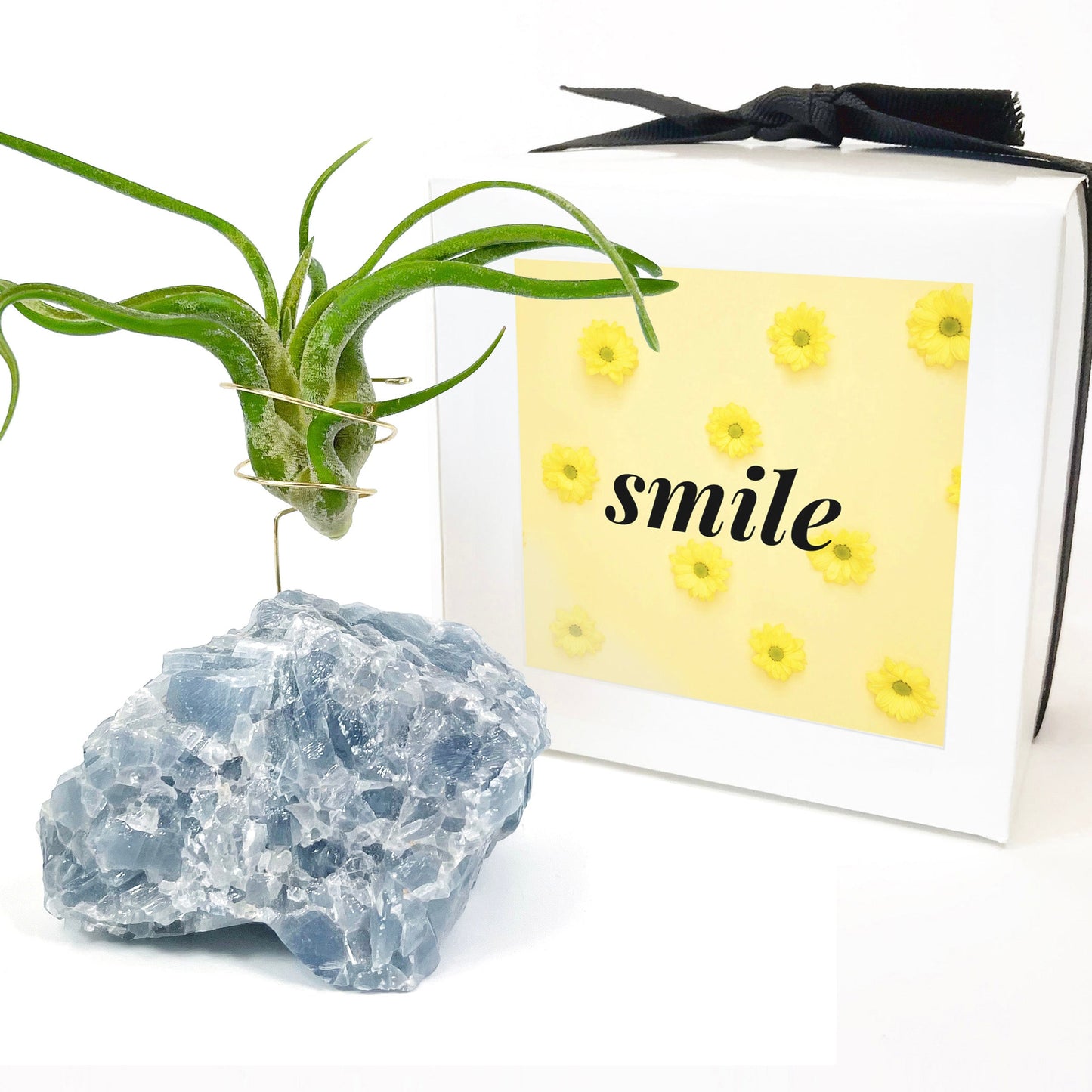 Get Well Gift - Blue Calcite Crystal Air Plant Holder